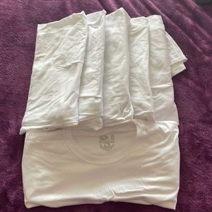 Fruit of the loom t shirts